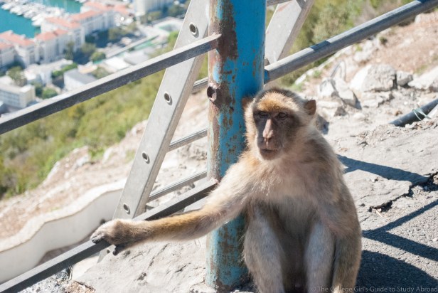 Gibraltar (12 of 15)