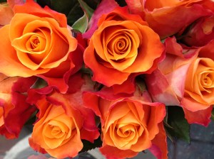 I'm pretty sure these are fake. (c)thecollegegirlsguidetostudyabroad